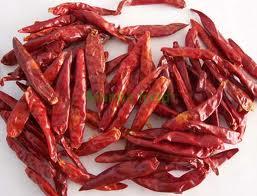 Dried red chili